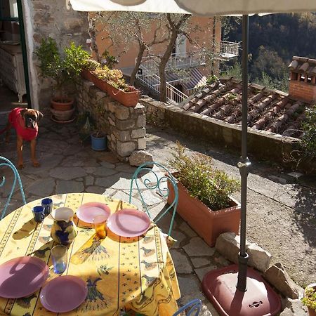 Chezcatherine Villa Sarzana Dış mekan fotoğraf
