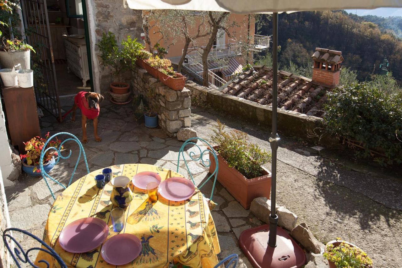 Chezcatherine Villa Sarzana Dış mekan fotoğraf