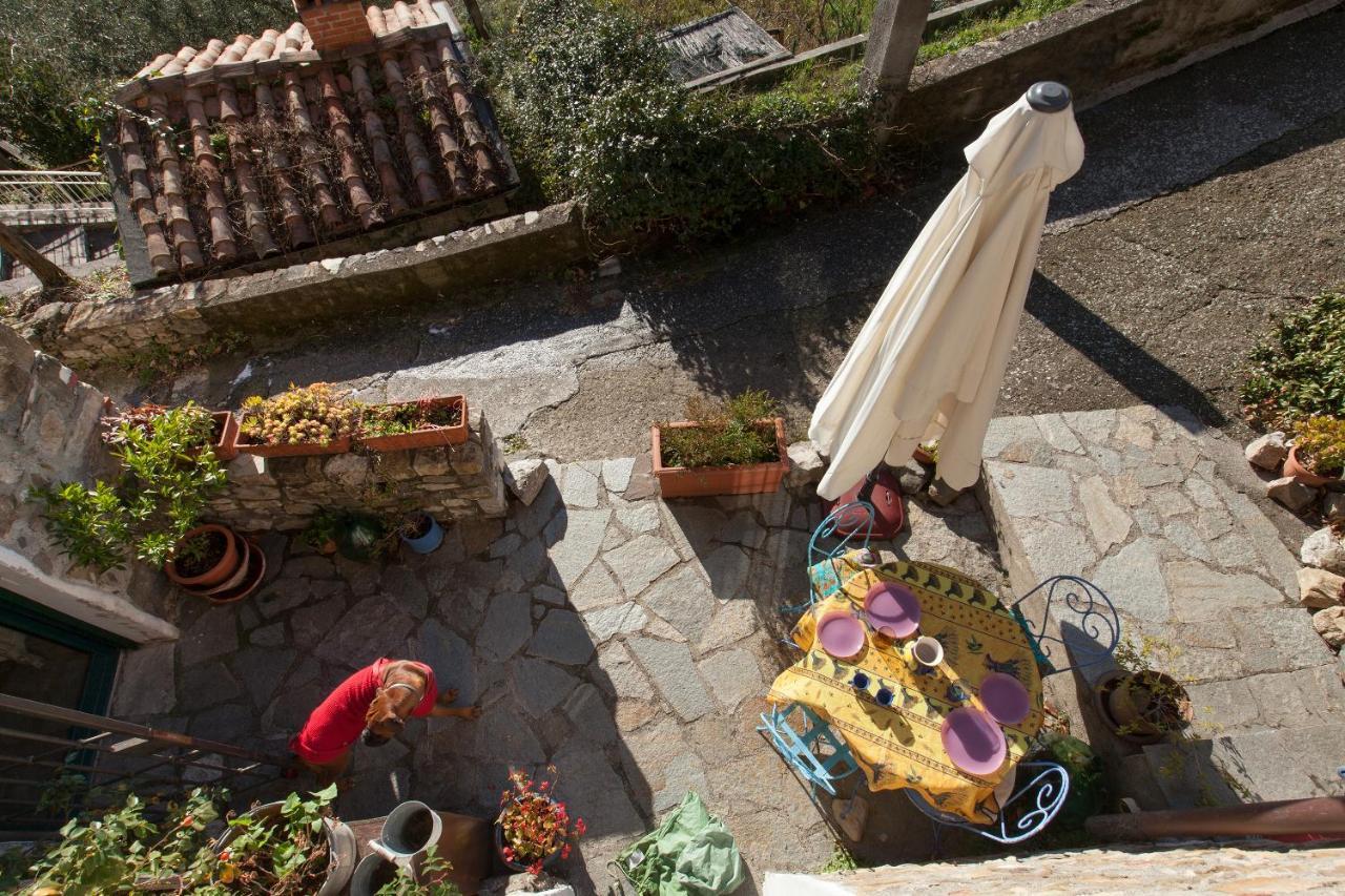 Chezcatherine Villa Sarzana Dış mekan fotoğraf